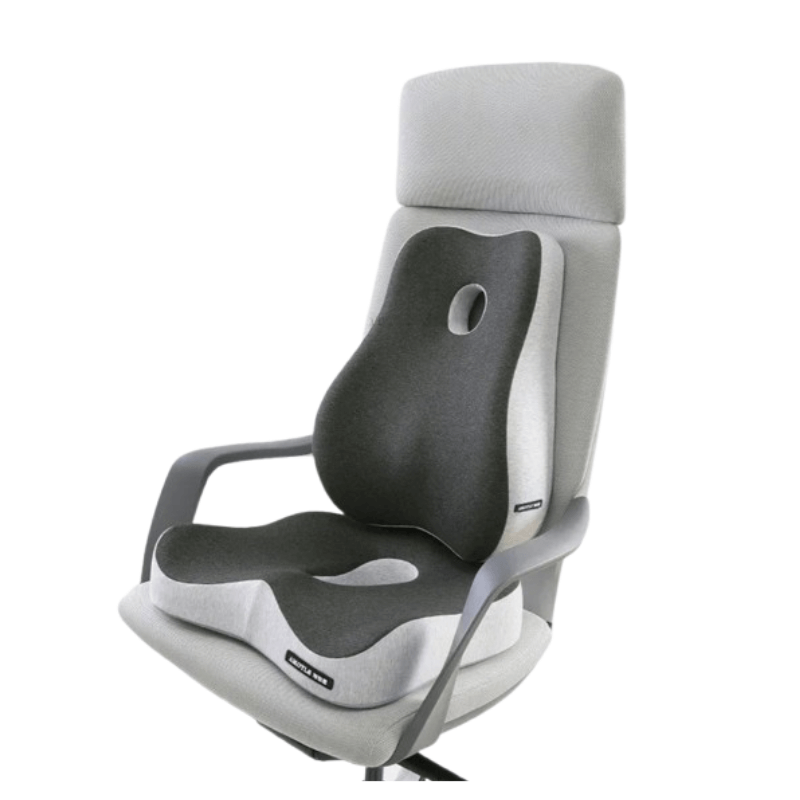 ReJOYce-ME™ Ergonomic Cushion Set